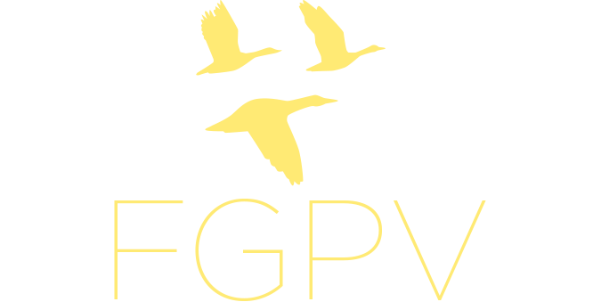 FGP Venture Logo